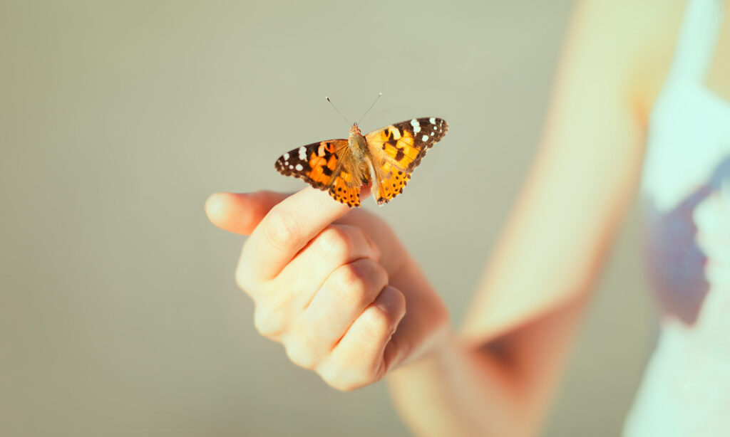 Educational Awakening Center: Transformation Workshop